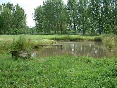 Angelteich
